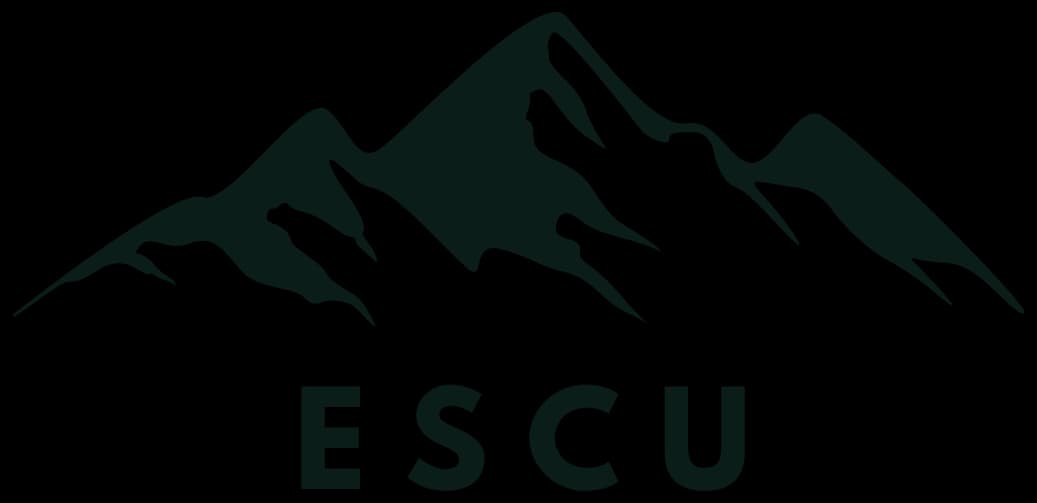 Everest Super Chemical Udhyog logo